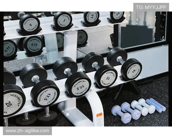 常用健身器材练法大全及训练计划